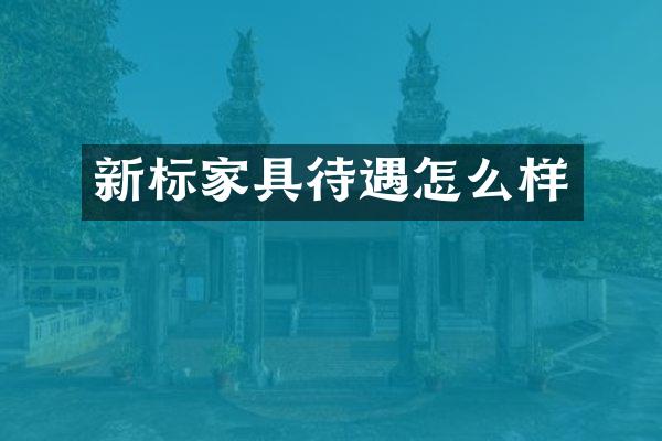 新标家具待遇怎么样