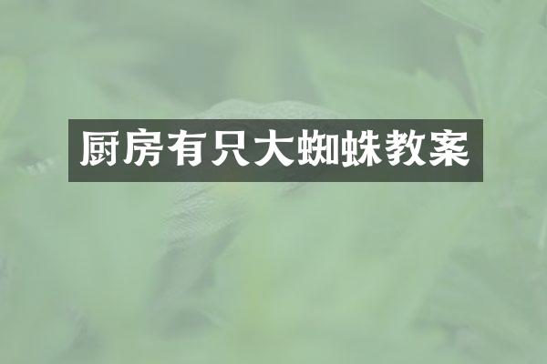 厨房有只大蜘蛛教案