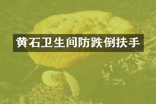 黄石卫生间防跌倒扶手