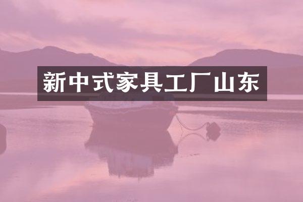 新中式家具工厂山东