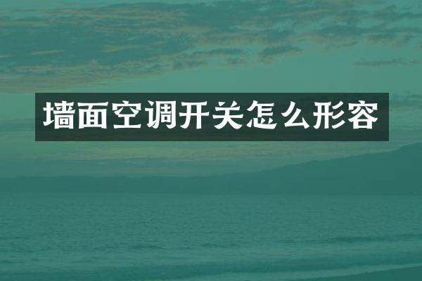 墙面空调开关怎么形容