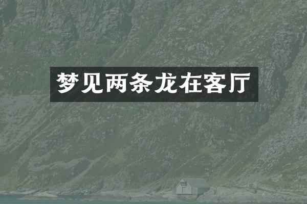 梦见两条龙在客厅