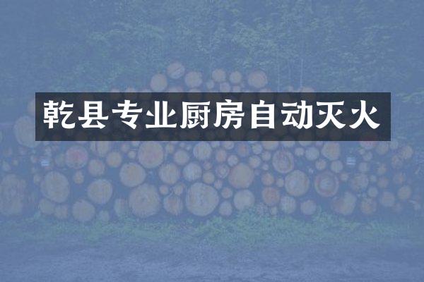 乾县专业厨房自动灭火