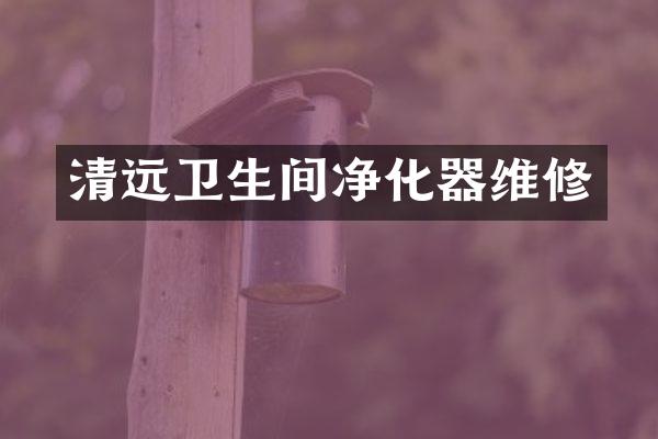 清远卫生间净化器维修