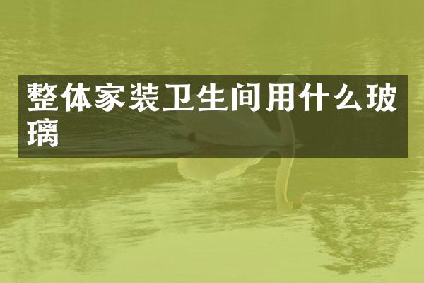 整体家装卫生间用什么玻璃