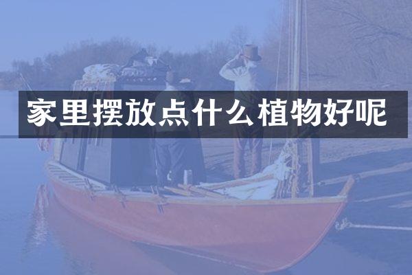 家里摆放点什么植物好呢