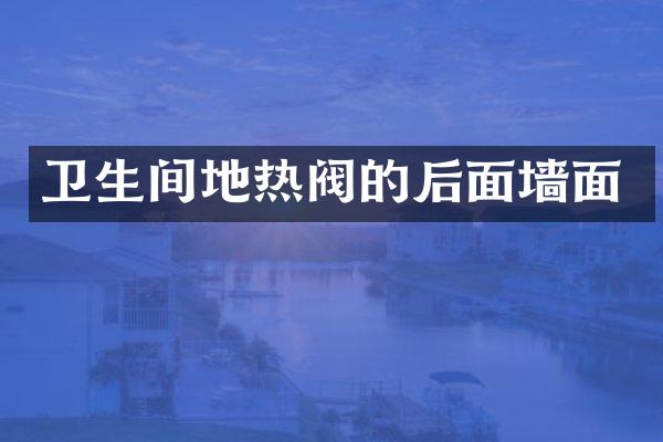 卫生间地热阀的后面墙面