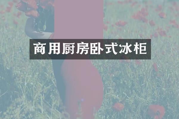 商用厨房卧式冰柜