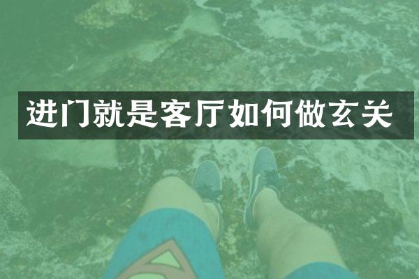 进门就是客厅如何做玄关