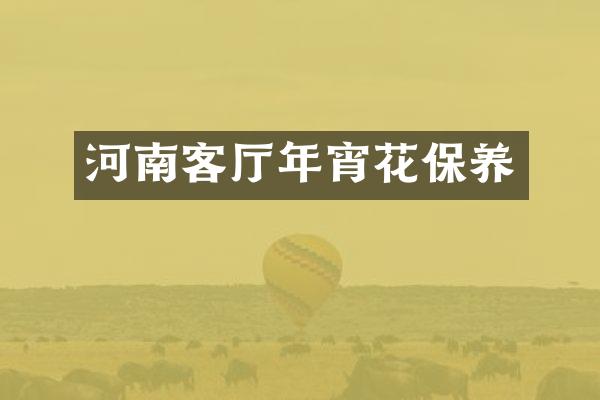 河南客厅年宵花保养