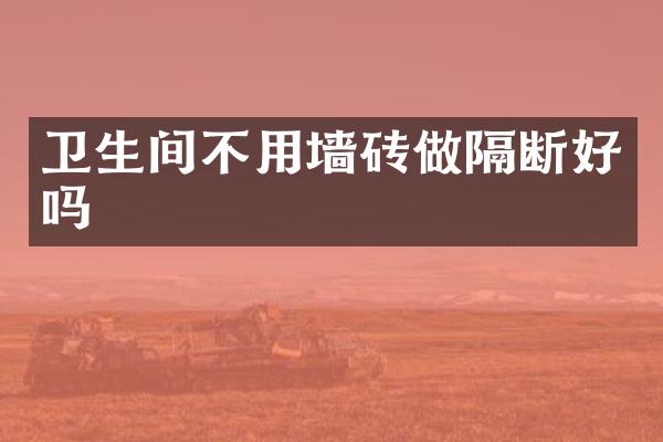 卫生间不用墙砖做隔断好吗