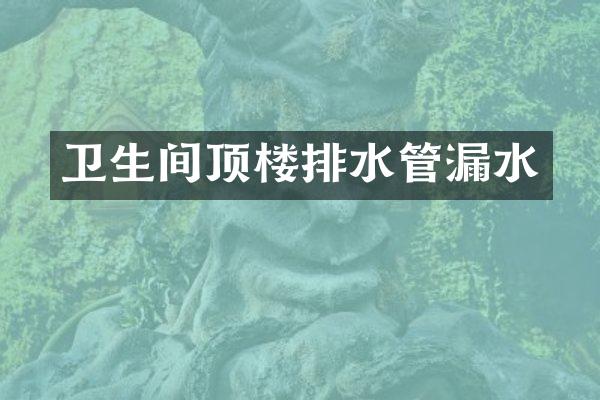 卫生间顶楼排水管漏水