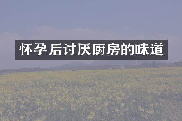 怀孕后讨厌厨房的味道