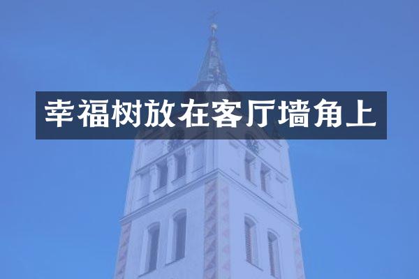 幸福树放在客厅墙角上