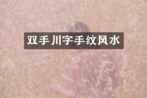 双手川字手纹风水