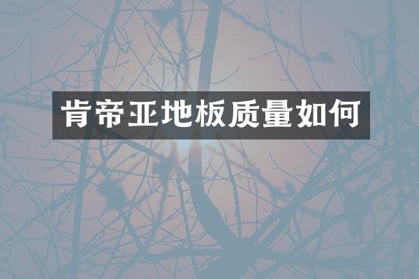 肯帝亚地板质量如何