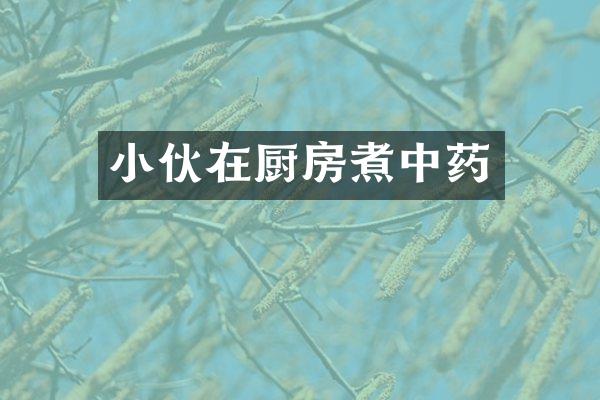 小伙在厨房煮中药