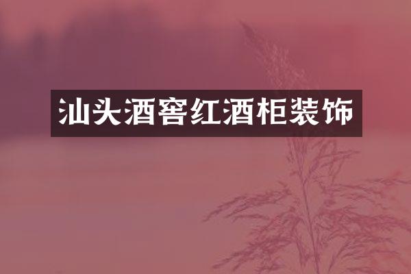 汕头酒窖红酒柜装饰