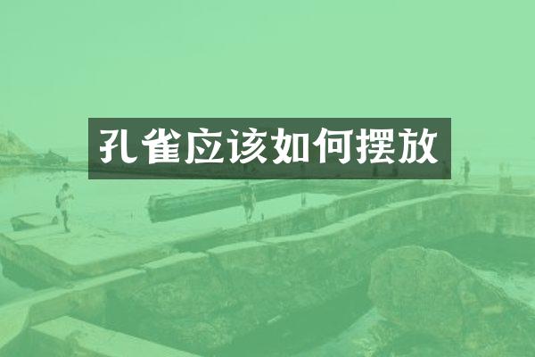 孔雀应该如何摆放