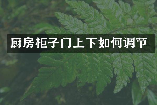 厨房柜子门上下如何调节