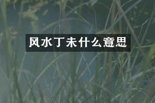 风水丁未什么意思