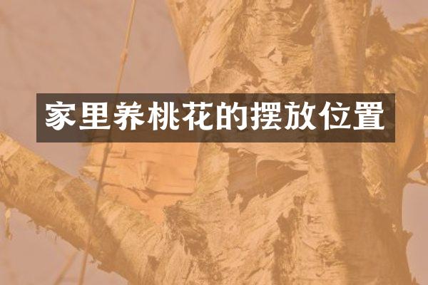 家里养桃花的摆放位置