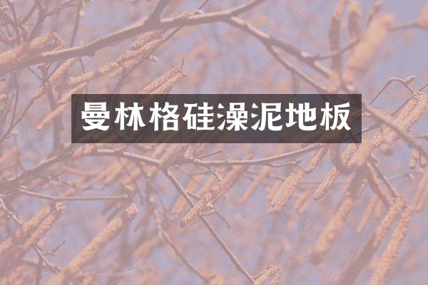 曼林格硅澡泥地板