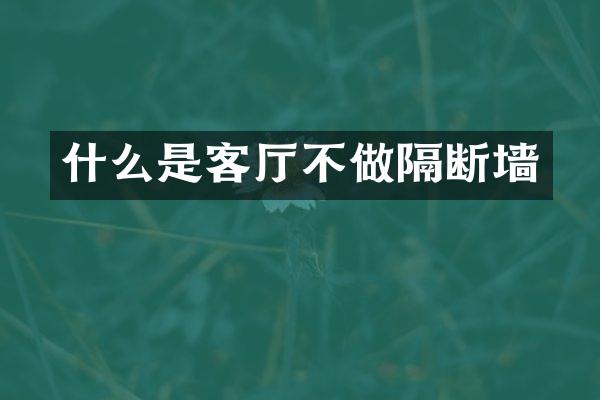 什么是客厅不做隔断墙