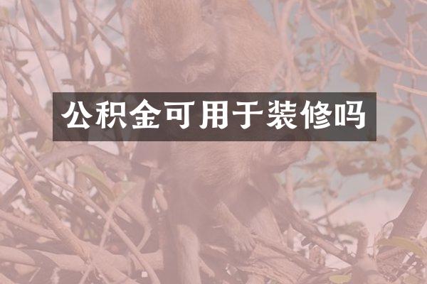 公积金可用于装修吗