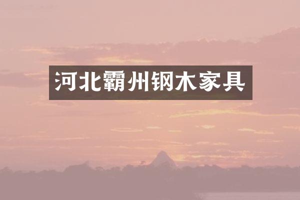 河北霸州钢木家具