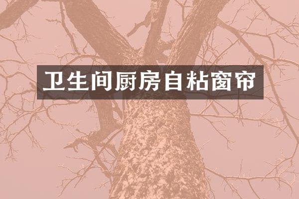 卫生间厨房自粘窗帘