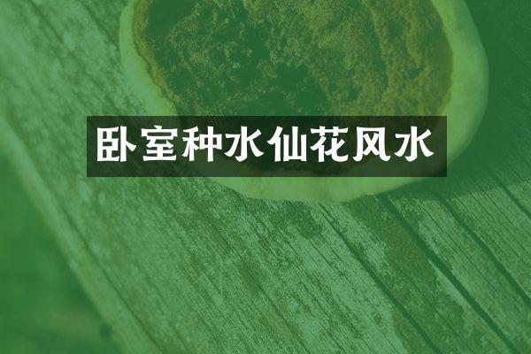 卧室种水仙花风水