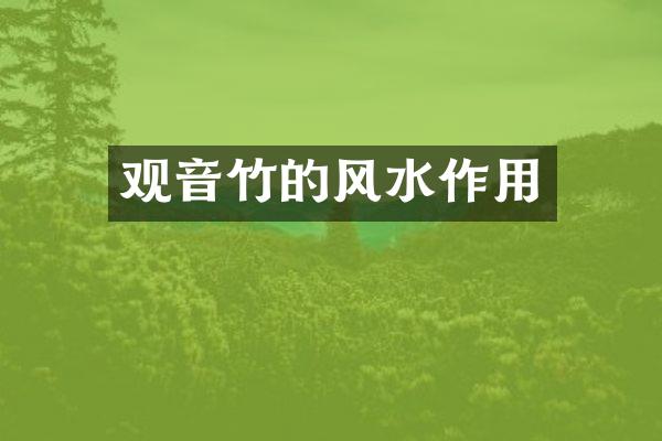 观音竹的风水作用