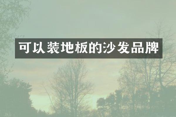 可以装地板的沙发品牌