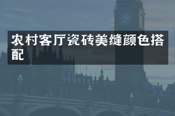 农村客厅瓷砖美缝颜色搭配
