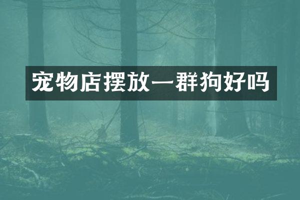 宠物店摆放一群狗好吗