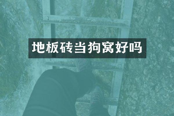地板砖当狗窝好吗