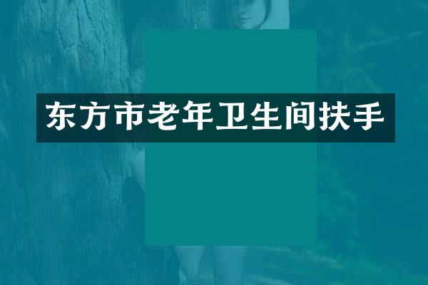 东方市老年卫生间扶手