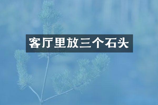 客厅里放三个石头