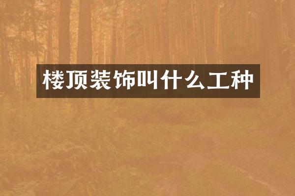 楼顶装饰叫什么工种