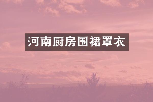 河南厨房围裙罩衣