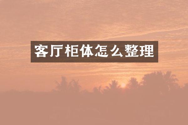 客厅柜体怎么整理