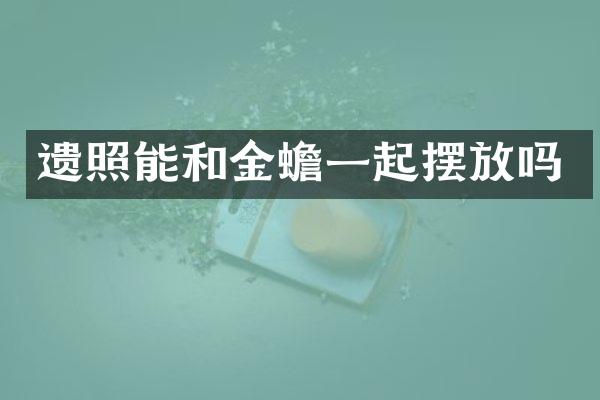 遗照能和金蟾一起摆放吗