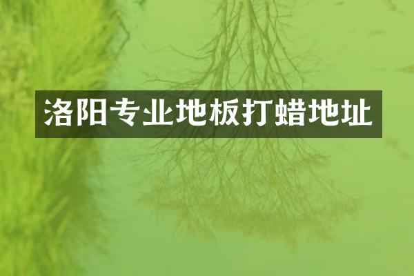 洛阳专业地板打蜡地址