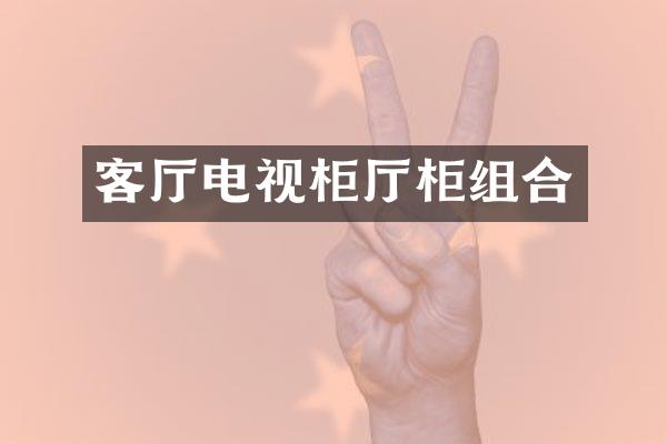 客厅电视柜厅柜组合