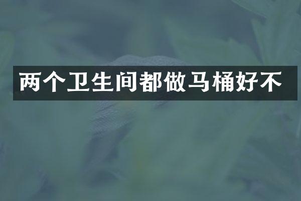 两个卫生间都做马桶好不