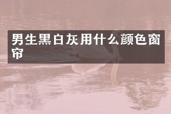 男生黑白灰用什么颜色窗帘