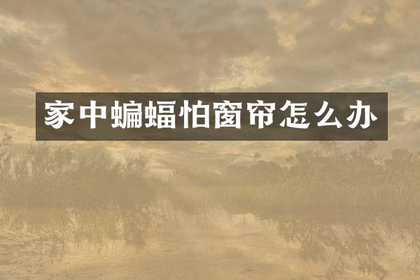 家中蝙蝠怕窗帘怎么办