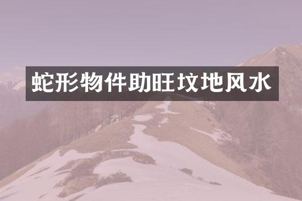 蛇形物件助旺坟地风水