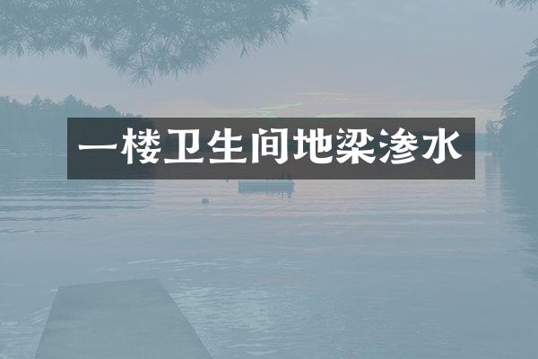 一楼卫生间地梁渗水